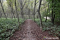 VBS_7830 - Là, dove finisce la strada, comincia un mondo